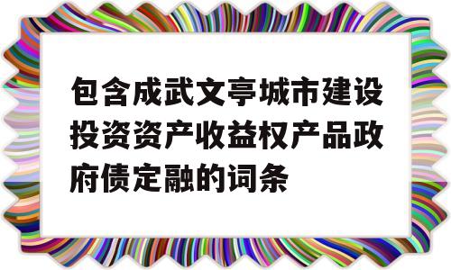 包含成武文亭城市建设投资资产收益权产品政府债定融的词条