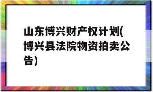 山东博兴财产权计划(博兴县法院物资拍卖公告)