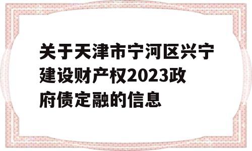 关于天津市宁河区兴宁建设财产权2023政府债定融的信息