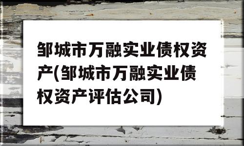 邹城市万融实业债权资产(邹城市万融实业债权资产评估公司)