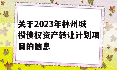 关于2023年林州城投债权资产转让计划项目的信息