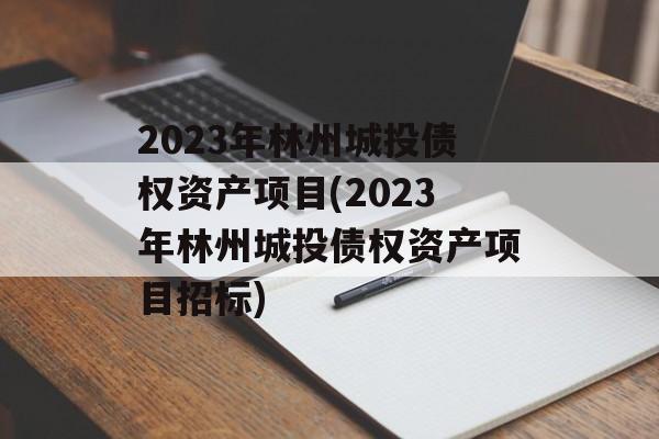 2023年林州城投债权资产项目(2023年林州城投债权资产项目招标)