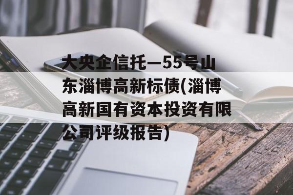 大央企信托—55号山东淄博高新标债(淄博高新国有资本投资有限公司评级报告)