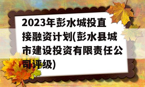 2023年彭水城投直接融资计划(彭水县城市建设投资有限责任公司评级)