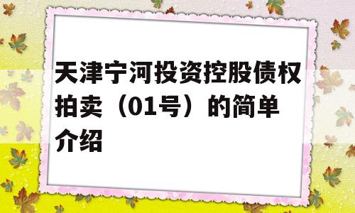 天津宁河投资控股债权拍卖（01号）的简单介绍