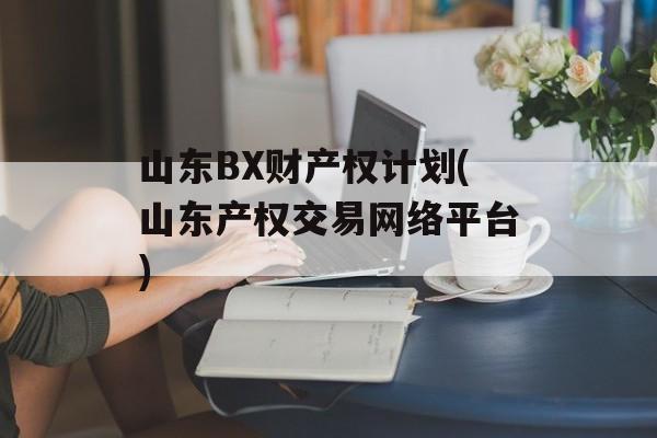 山东BX财产权计划(山东产权交易网络平台)