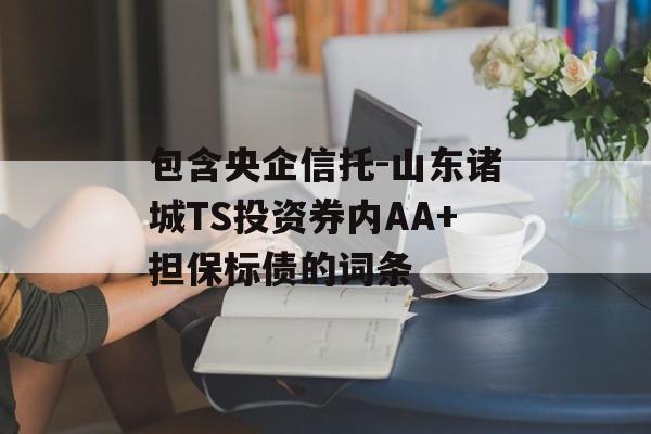 包含央企信托-山东诸城TS投资券内AA+担保标债的词条