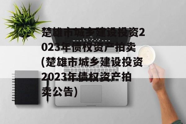 楚雄市城乡建设投资2023年债权资产拍卖(楚雄市城乡建设投资2023年债权资产拍卖公告)