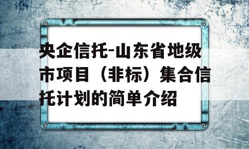 央企信托-山东省地级市项目（非标）集合信托计划的简单介绍