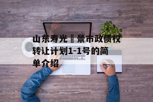 山东寿光昇景市政债权转让计划1-1号的简单介绍