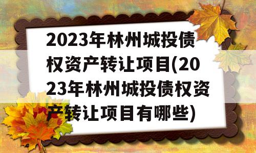 2023年林州城投债权资产转让项目(2023年林州城投债权资产转让项目有哪些)