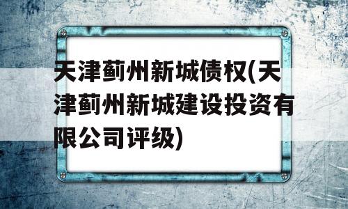 天津蓟州新城债权(天津蓟州新城建设投资有限公司评级)