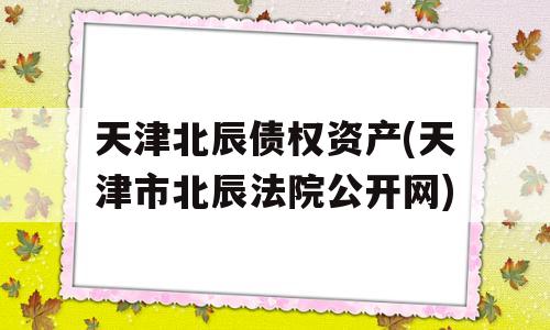 天津北辰债权资产(天津市北辰法院公开网)