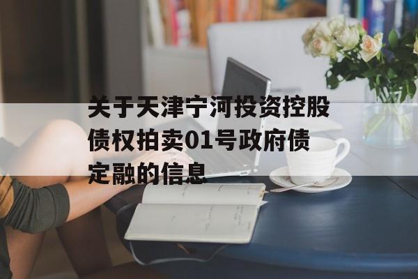 关于天津宁河投资控股债权拍卖01号政府债定融的信息