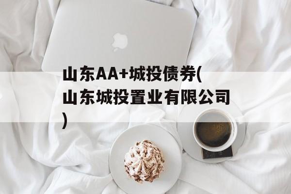 山东AA+城投债券(山东城投置业有限公司)