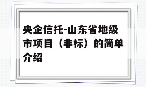 央企信托-山东省地级市项目（非标）的简单介绍