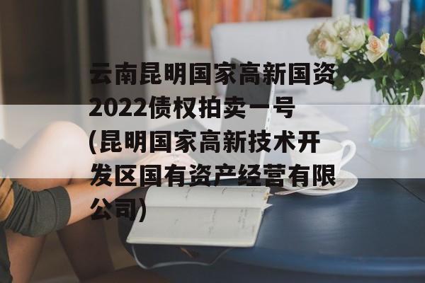 云南昆明国家高新国资2022债权拍卖一号(昆明国家高新技术开发区国有资产经营有限公司)