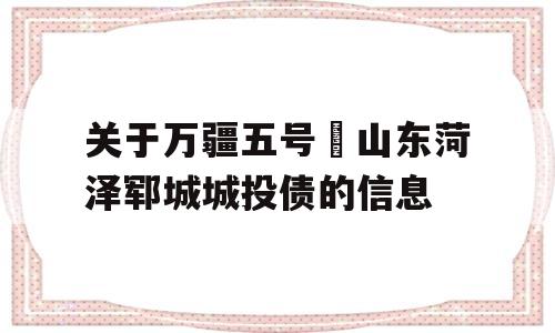 关于万疆五号•山东菏泽郓城城投债的信息