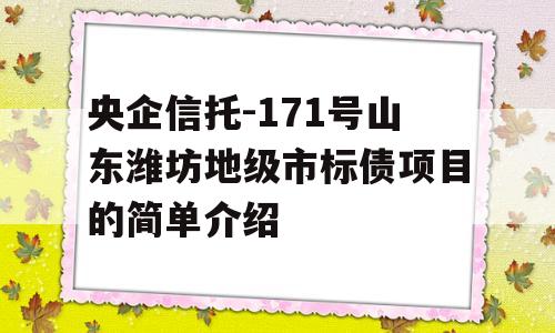 央企信托-171号山东潍坊地级市标债项目的简单介绍