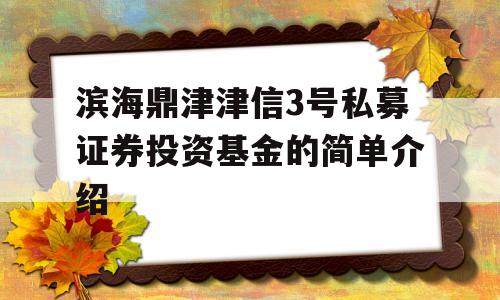 滨海鼎津津信3号私募证券投资基金的简单介绍