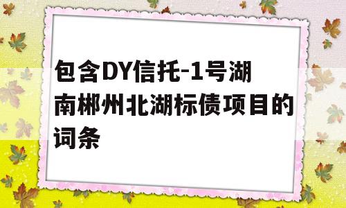 包含DY信托-1号湖南郴州北湖标债项目的词条