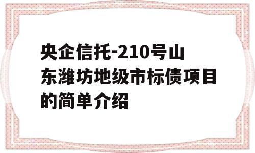 央企信托-210号山东潍坊地级市标债项目的简单介绍