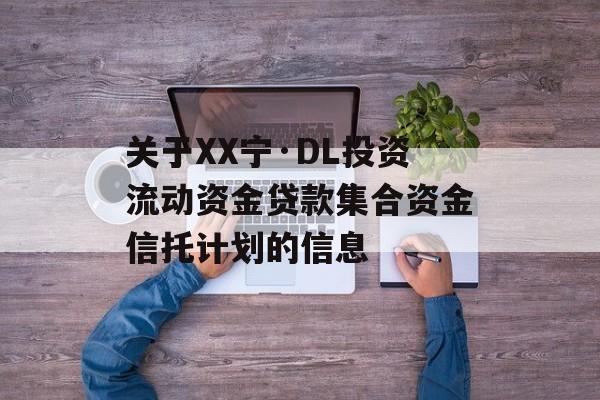 关于XX宁·DL投资流动资金贷款集合资金信托计划的信息