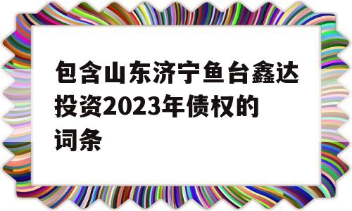 包含山东济宁鱼台鑫达投资2023年债权的词条