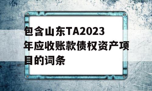 包含山东TA2023年应收账款债权资产项目的词条