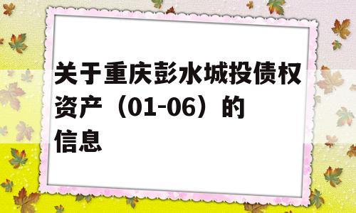 关于重庆彭水城投债权资产（01-06）的信息