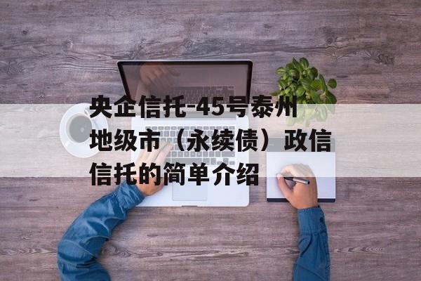 央企信托-45号泰州地级市（永续债）政信信托的简单介绍