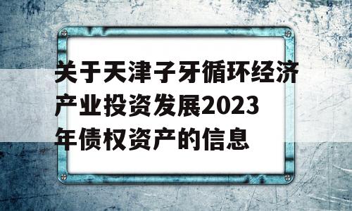 关于天津子牙循环经济产业投资发展2023年债权资产的信息