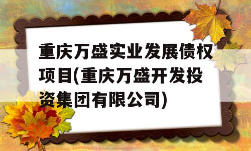 重庆万盛实业发展债权项目(重庆万盛开发投资集团有限公司)