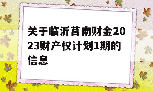 关于临沂莒南财金2023财产权计划1期的信息