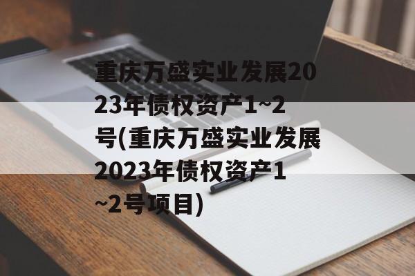 重庆万盛实业发展2023年债权资产1~2号(重庆万盛实业发展2023年债权资产1~2号项目)