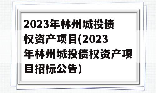 2023年林州城投债权资产项目(2023年林州城投债权资产项目招标公告)