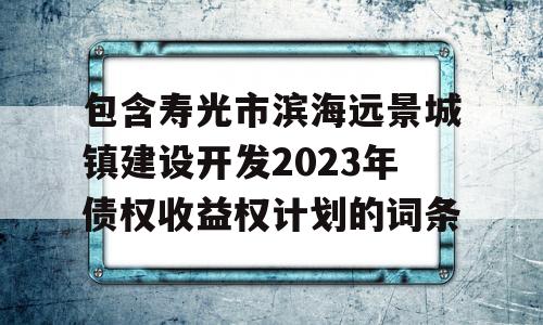 包含寿光市滨海远景城镇建设开发2023年债权收益权计划的词条