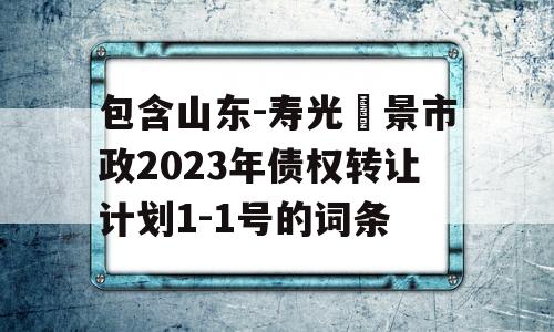 包含山东-寿光昇景市政2023年债权转让计划1-1号的词条