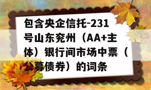 包含央企信托-231号山东兖州（AA+主体）银行间市场中票（公募债券）的词条