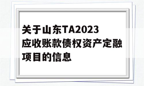 关于山东TA2023应收账款债权资产定融项目的信息