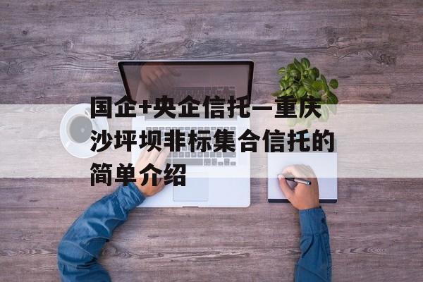 国企+央企信托—重庆沙坪坝非标集合信托的简单介绍