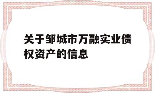 关于邹城市万融实业债权资产的信息