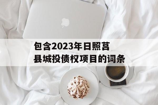 包含2023年日照莒县城投债权项目的词条