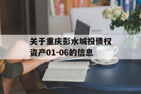 关于重庆彭水城投债权资产01-06的信息