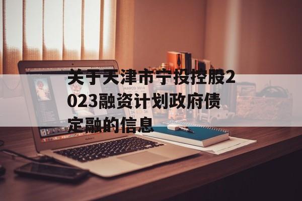 关于天津市宁投控股2023融资计划政府债定融的信息