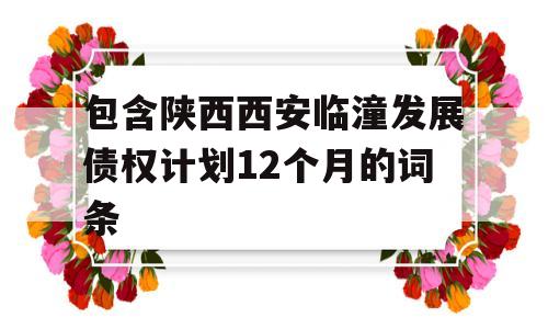 包含陕西西安临潼发展债权计划12个月的词条