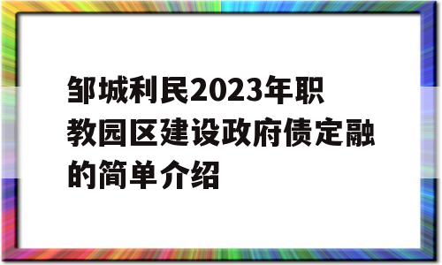 邹城利民2023年职教园区建设政府债定融的简单介绍