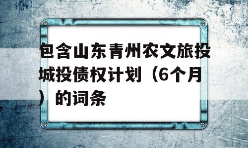 包含山东青州农文旅投城投债权计划（6个月）的词条