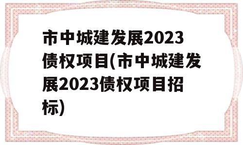 市中城建发展2023债权项目(市中城建发展2023债权项目招标)