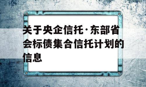 关于央企信托·东部省会标债集合信托计划的信息